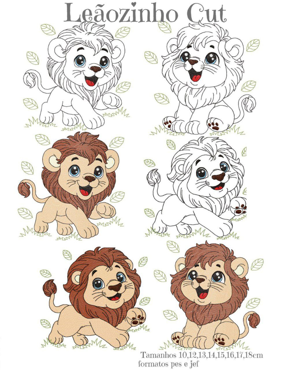 photo_2024-07-14_07-54-24